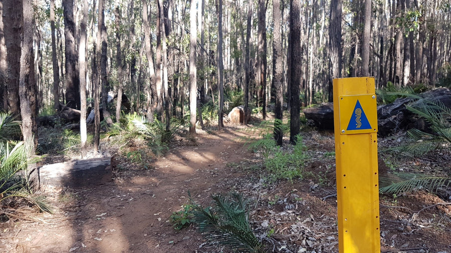 One man adventure: Munda Biddi Trail 2021