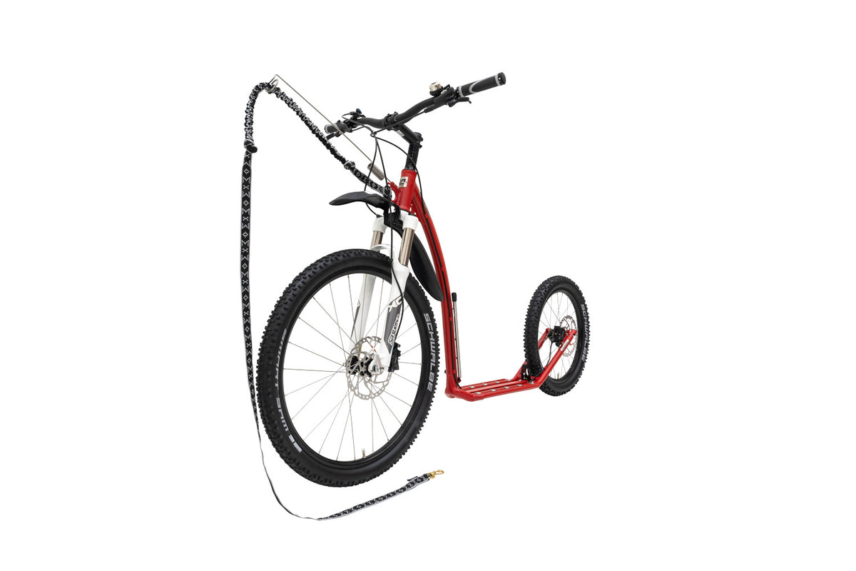 KOSTKA Mushing PRO G6