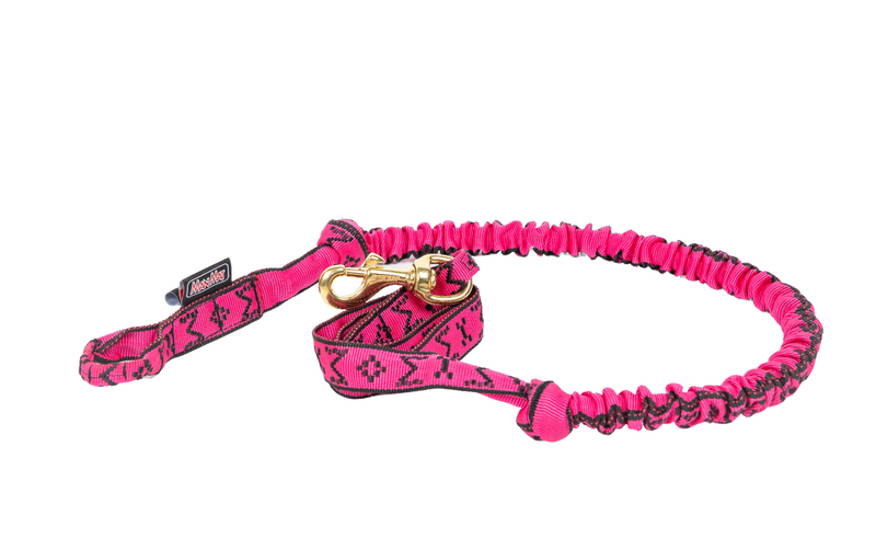 Bungee Leash for 1 Dog
