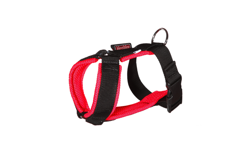 Harness Chicco