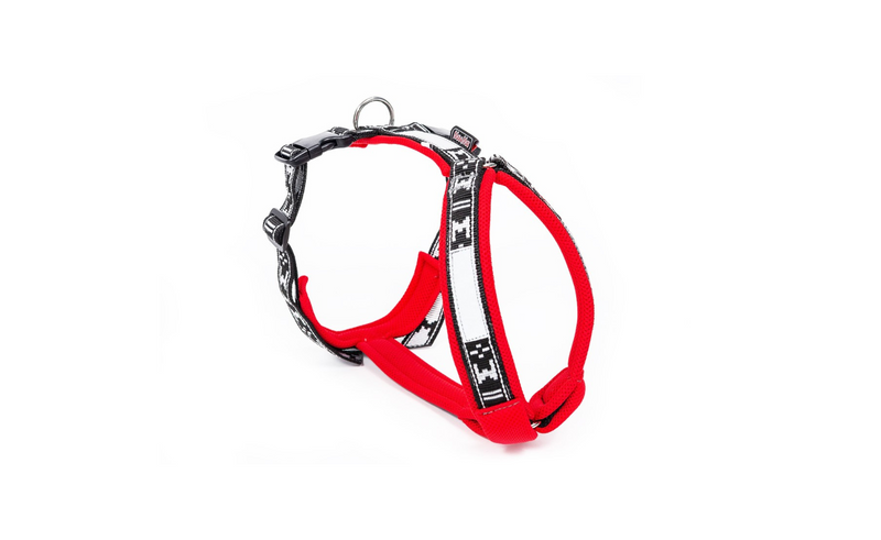 padded dog harness dog sports canicross joring