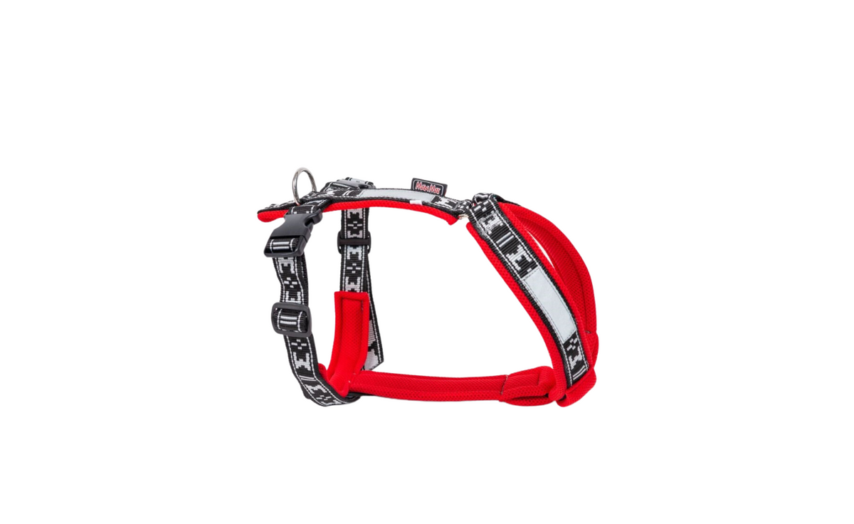 Harness Smart