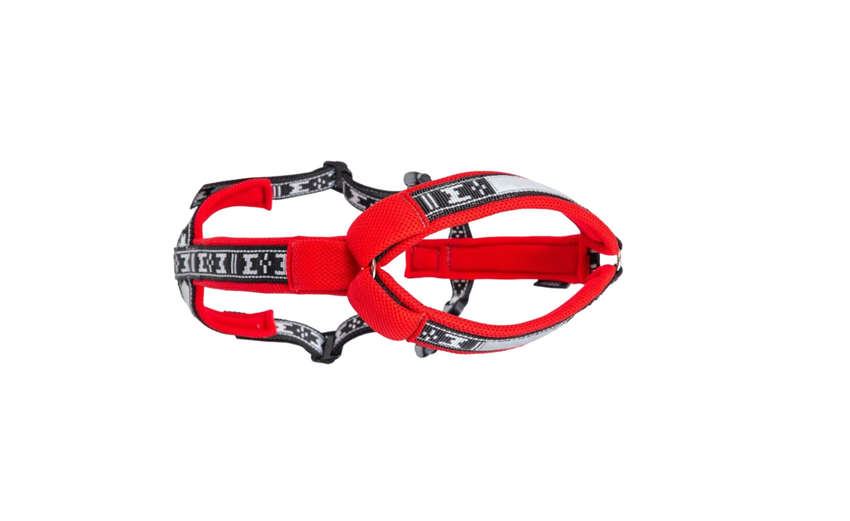 Harness Smart