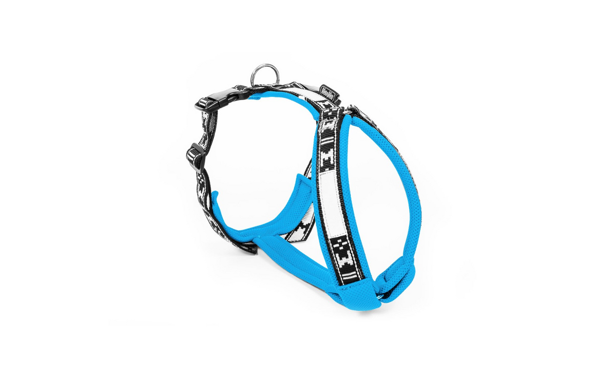 Harness Smart