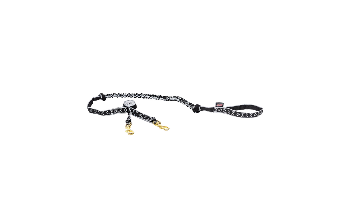Bungee Leash for 2 Dogs