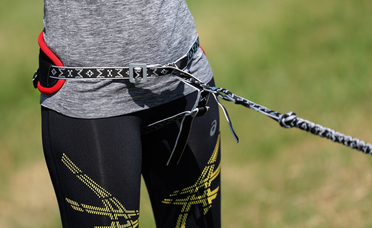 Canicross belt