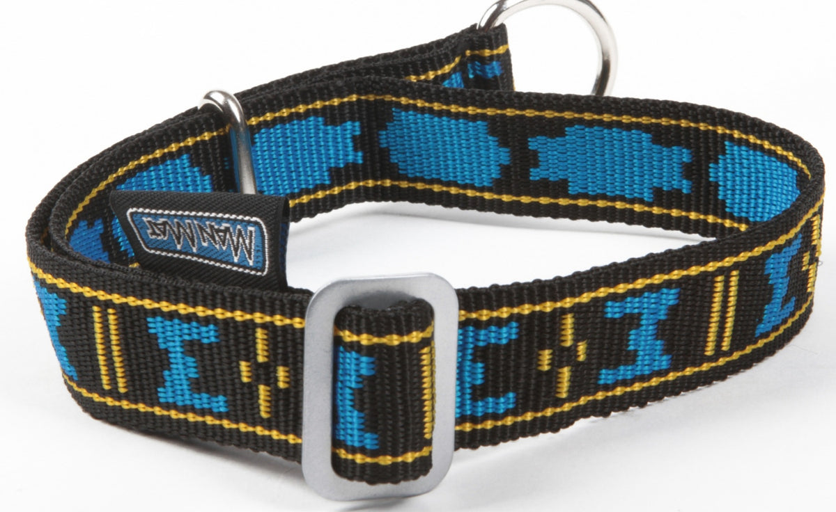 Dog Collar with Limited Slip