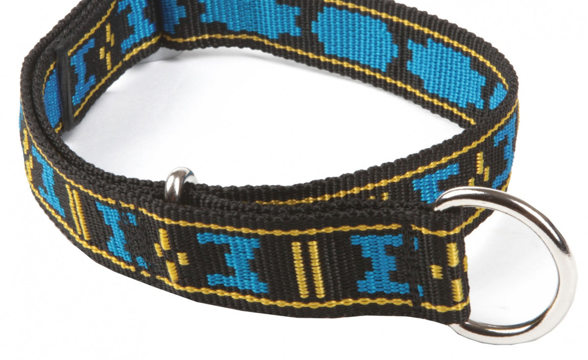 Dog Collar with Limited Slip