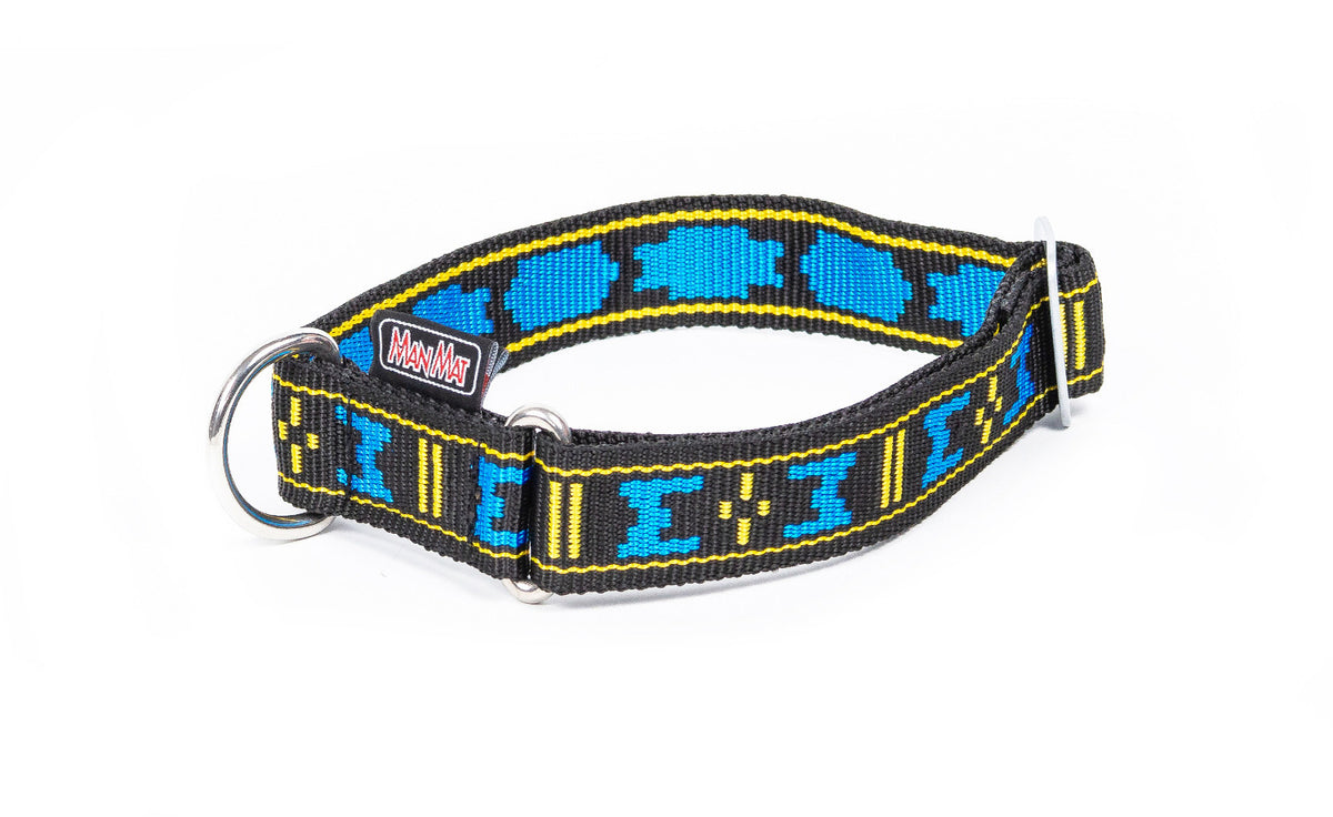 Collar standard with D-ring