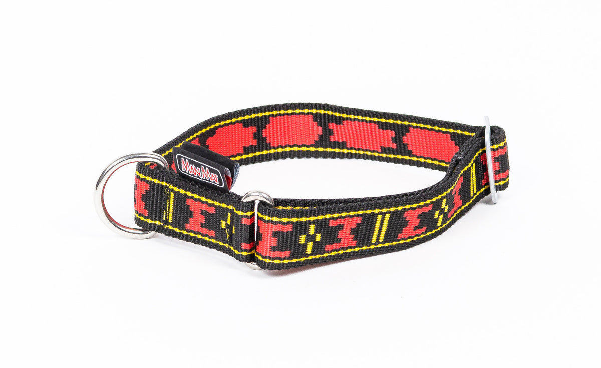 Collar standard with D-ring