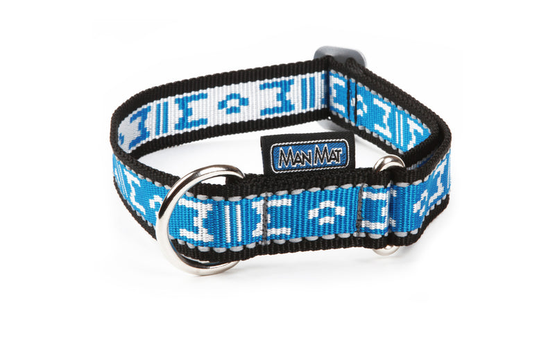 Collar standard with D-ring