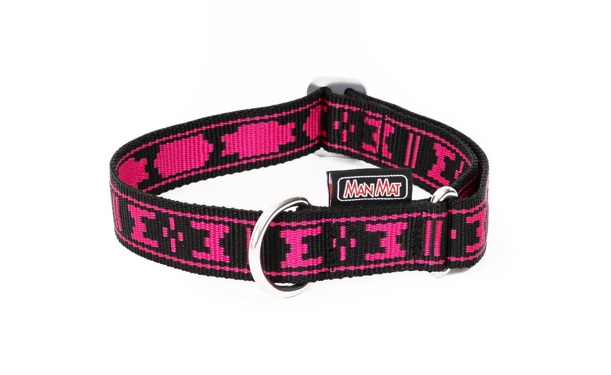 Collar standard with D-ring