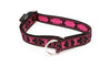 Dog Collar with Limited Slip