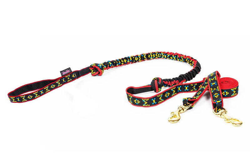 Bungee Leash for 2 Dogs