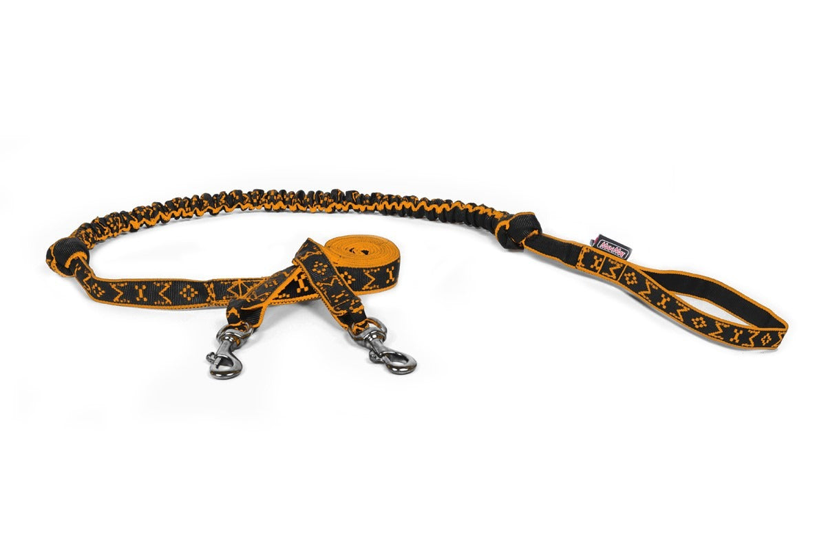 Bungee Leash for 2 Dogs