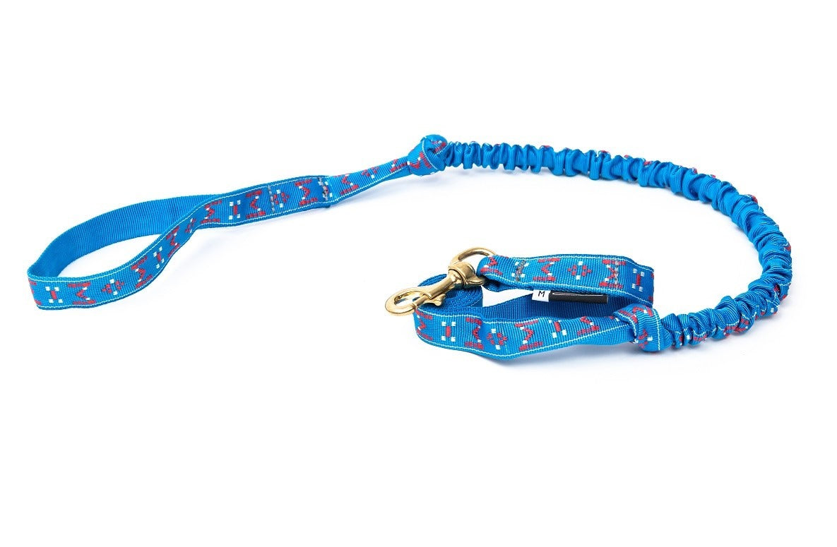 Bungee leash with Antenna attachment - kit