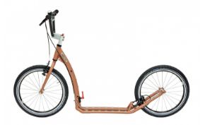 Footbike hire - Twenty Max, fold