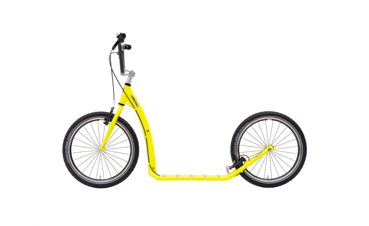 Kostka Twenty Max G6