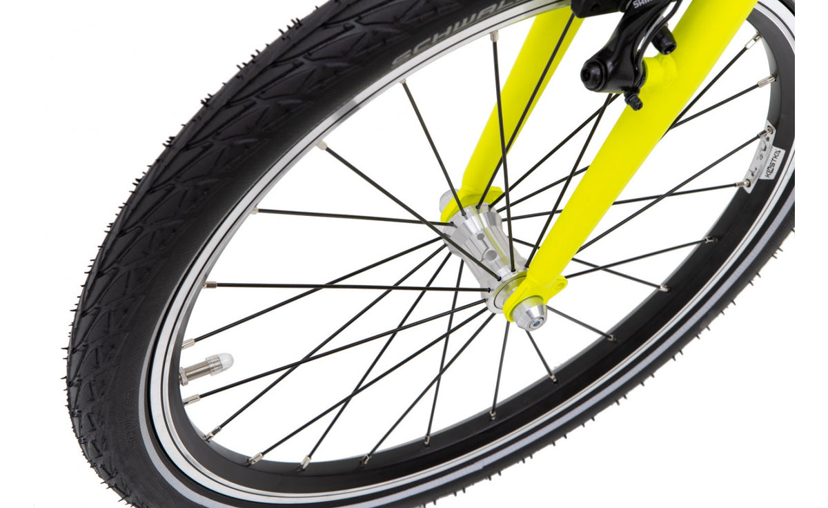 Kostka Twenty Max G6