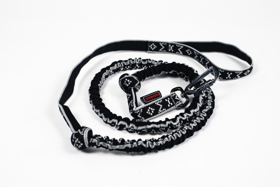 FULL BUNGEE leash with ALU snap hook