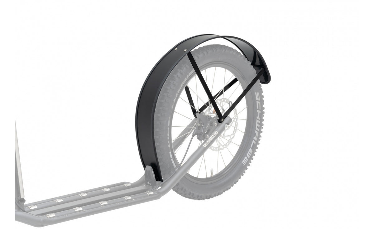 Kostka Fender Shock 2010 rear G6