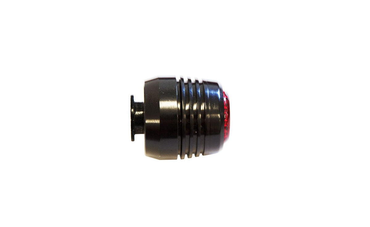 Light KlickLight for Rebel Max Fold