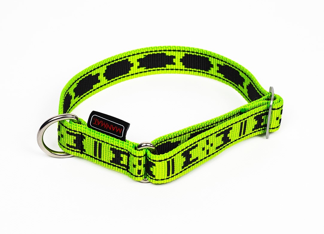 Collar standard with D-ring