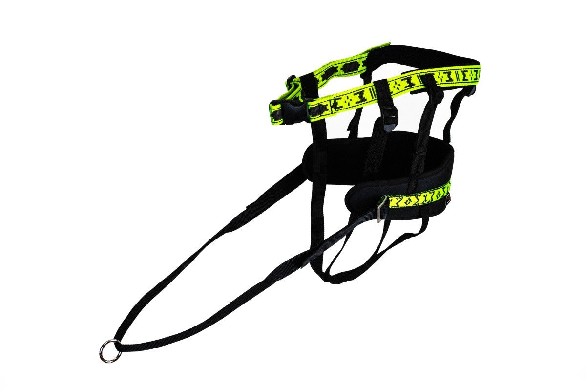 Canicross belt RACER PRO – Footbikes Australia & Manmat