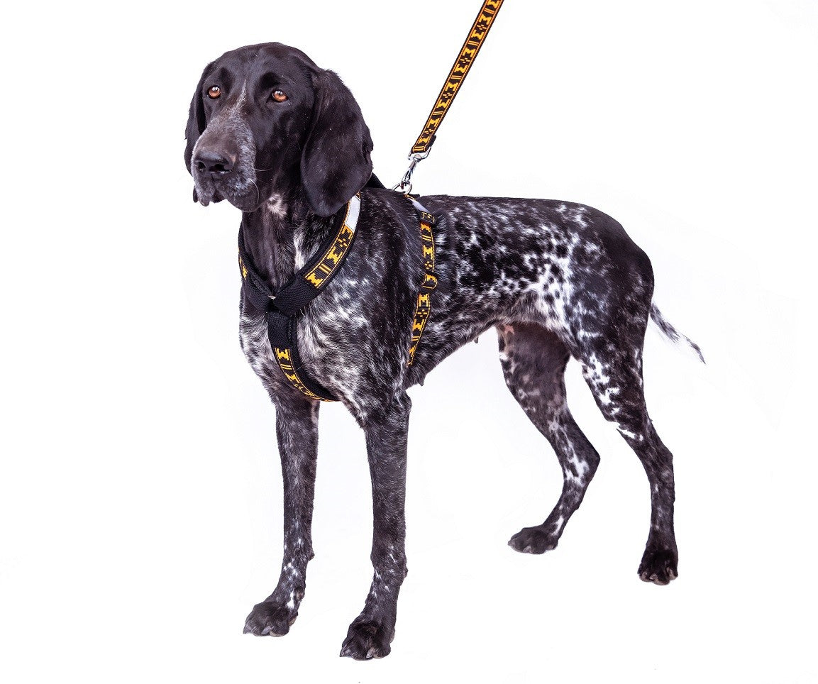 Harness Smart