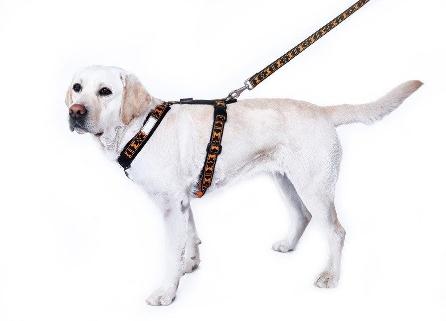 Harness Smart