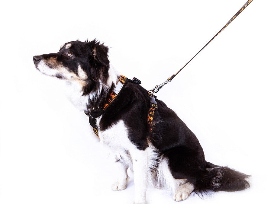 Harness Smart
