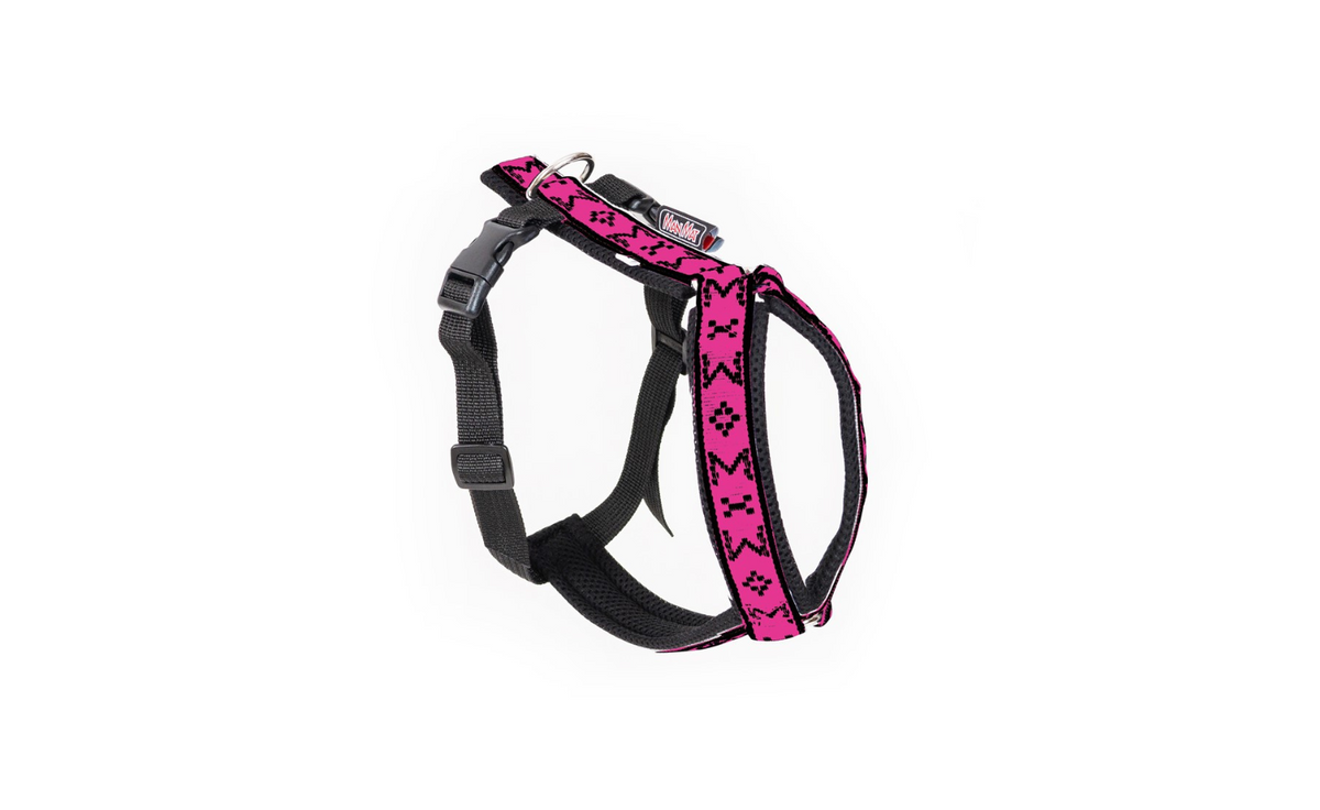 Harness Ricco