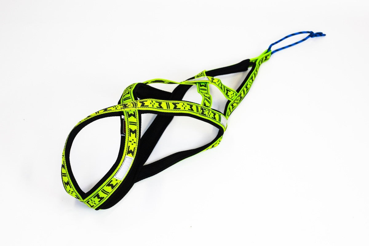 Harness Run Long