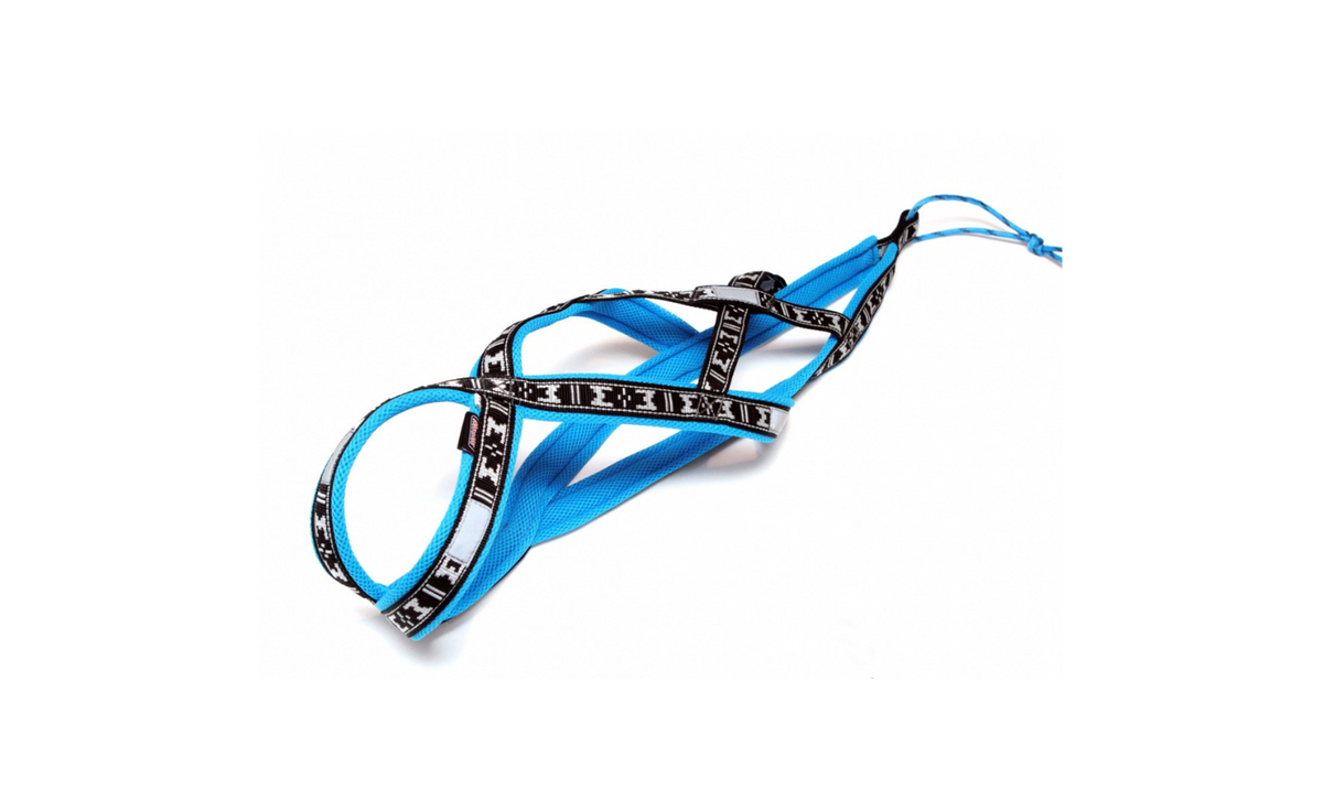 Harness Run Long