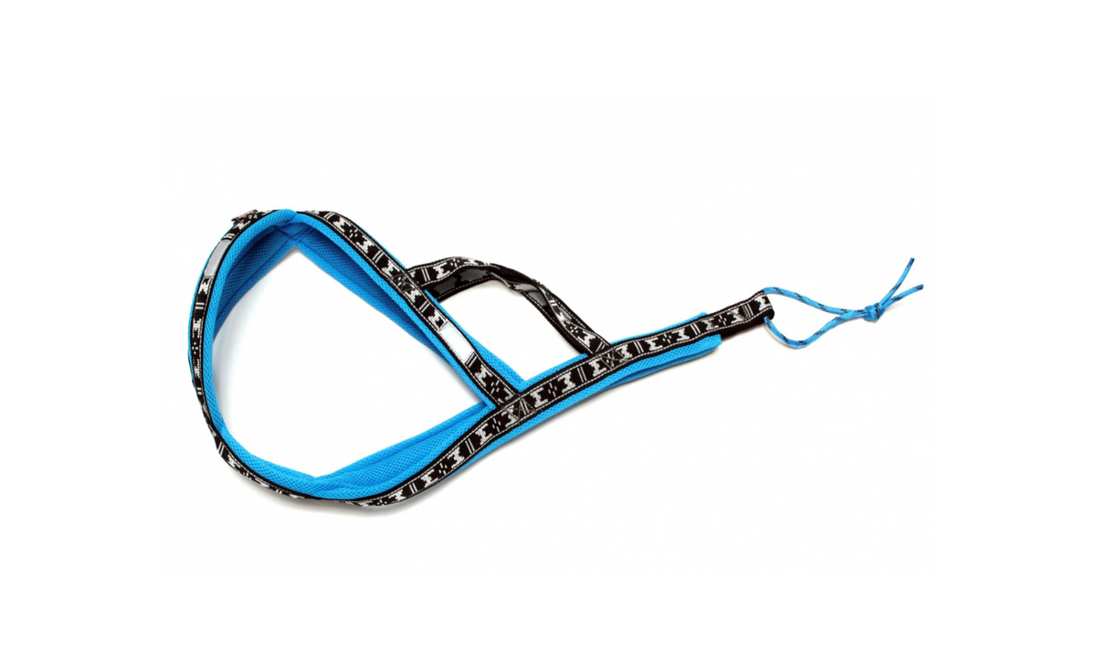 Harness Run Long