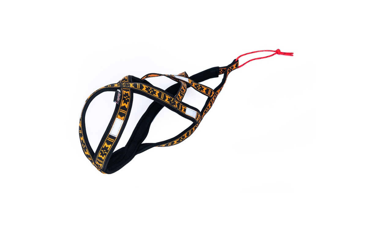 Harness Run Long