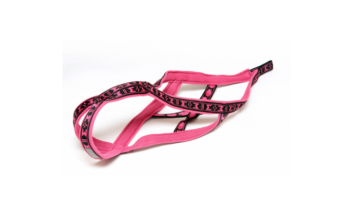 Harness Run Long