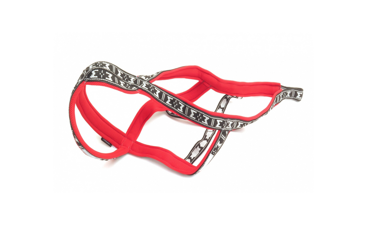 Harness Run Long