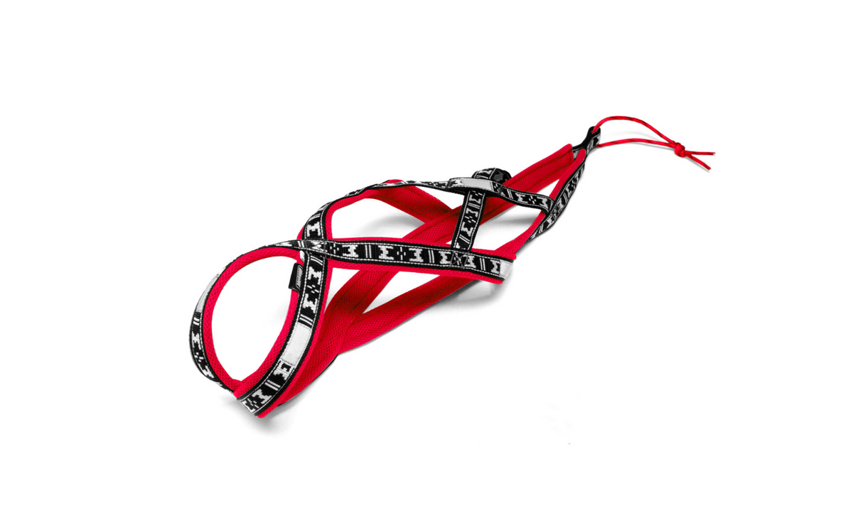 Harness Run Long
