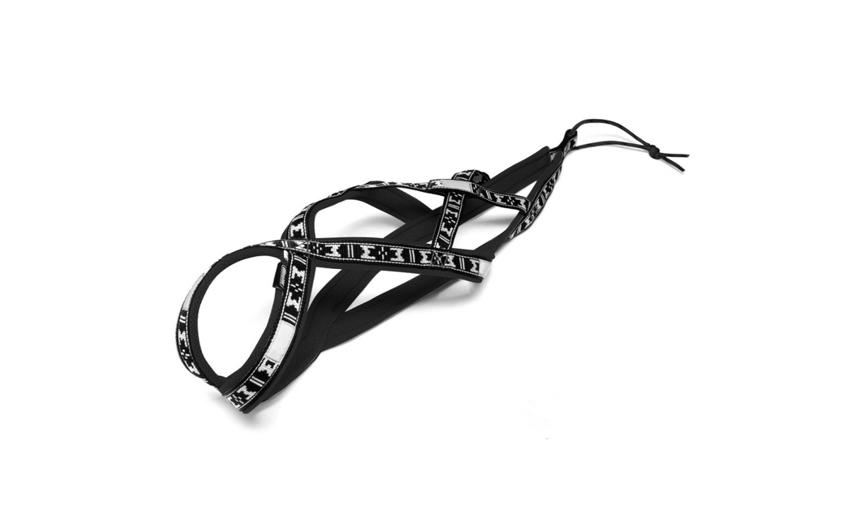 Harness Run Long