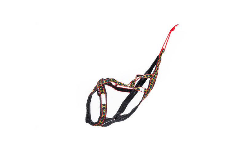 Dog Sports Harness Siberian Race