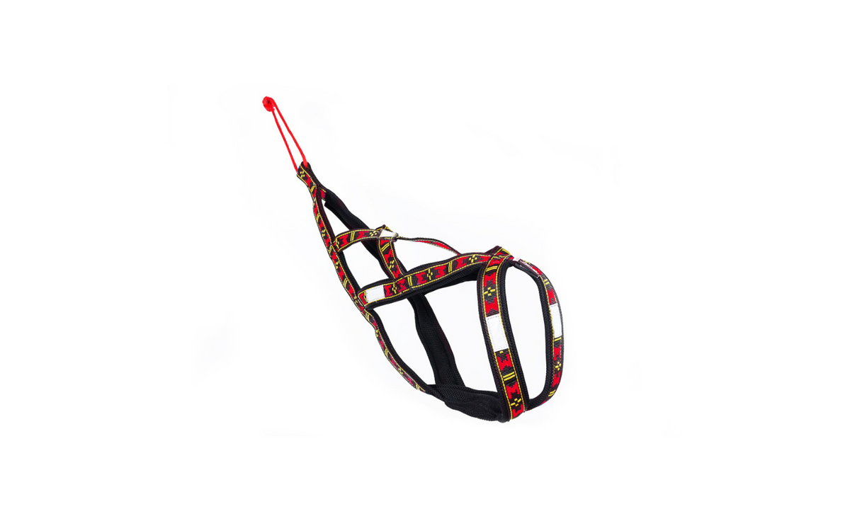 Harness Sled