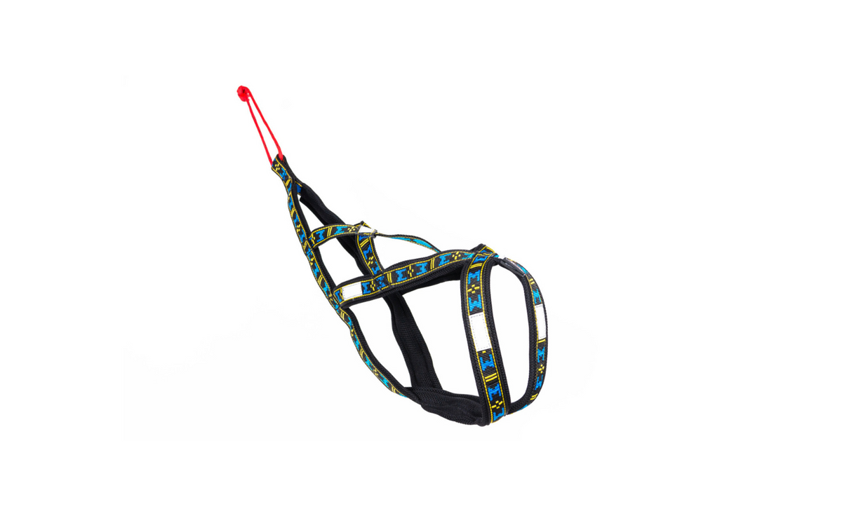 Harness Sled
