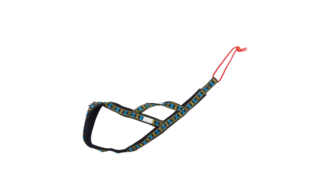 Harness Sled
