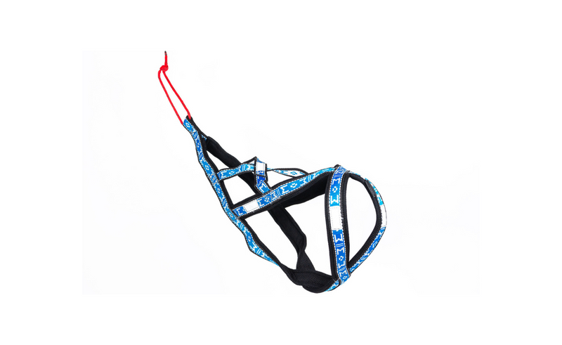 Harness Sled