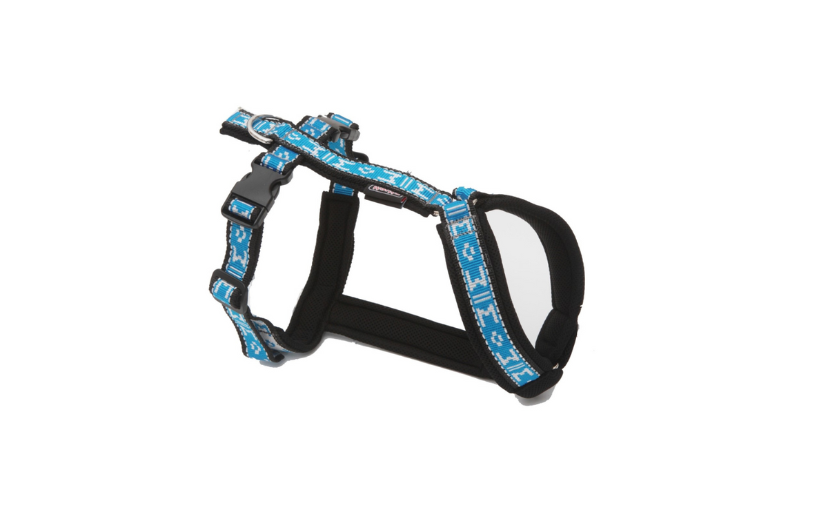 Short harness fort footbiking