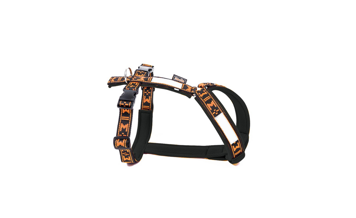 Harness Smart