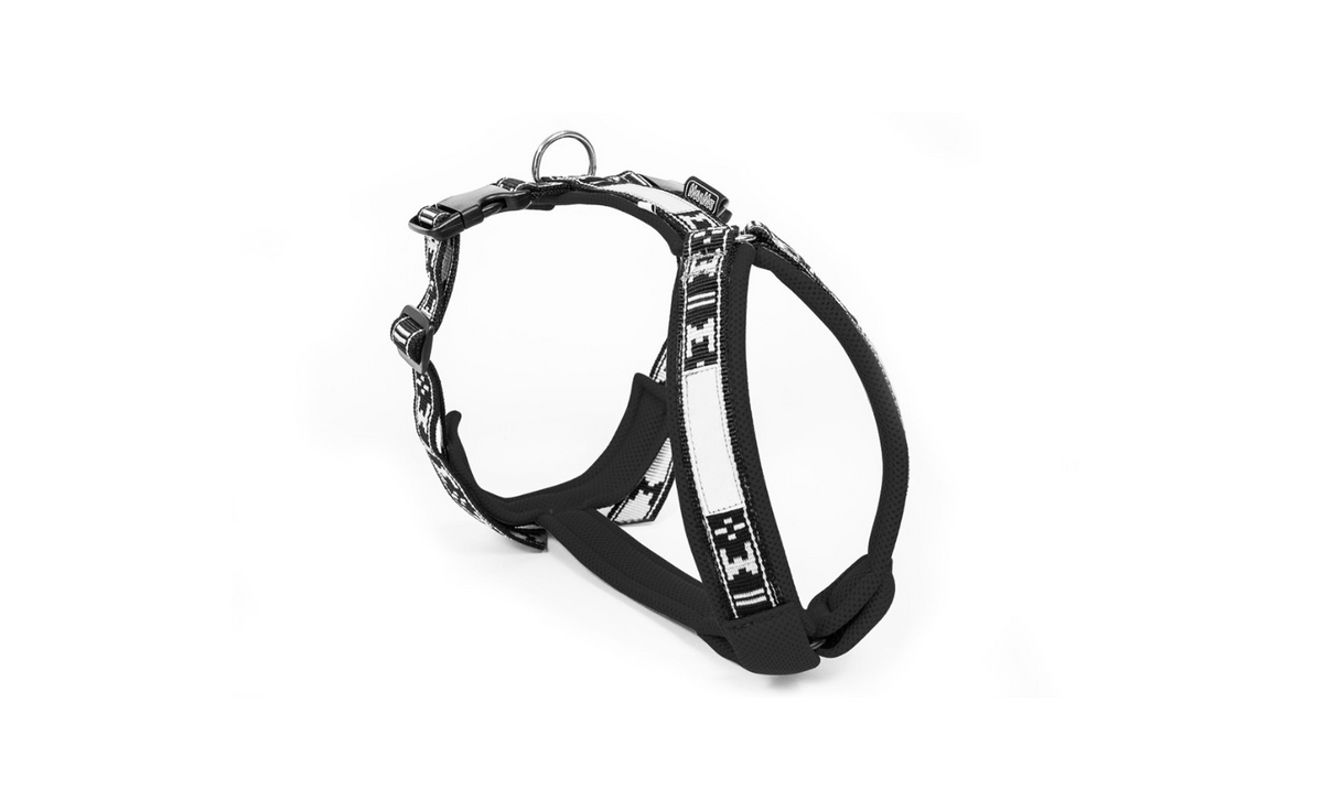Harness Smart