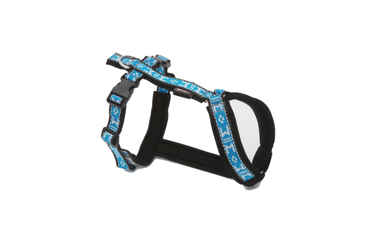 Harness Soft Universal