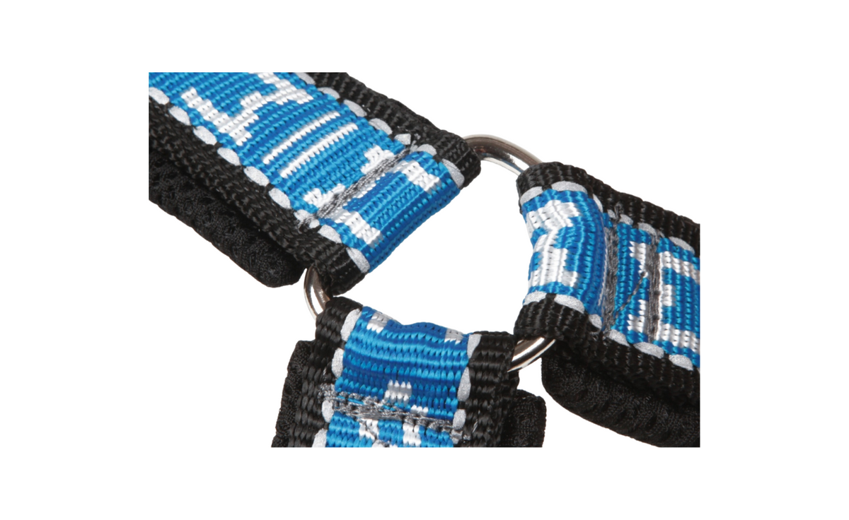 Harness Smart
